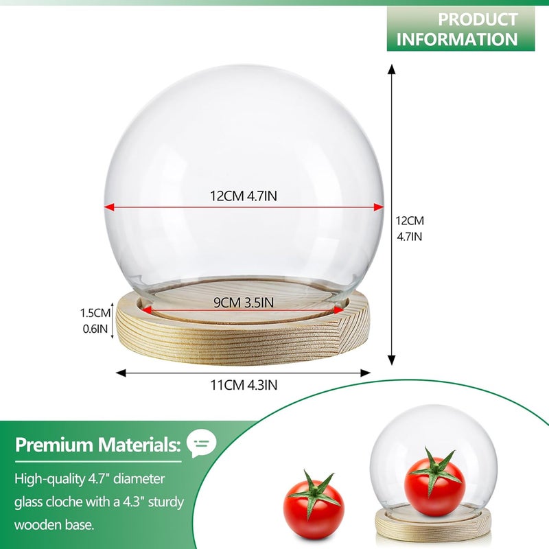 ZEERSHEE Round Glass Display Dome Cloche with Wooden Base for Home Decoration Diameter 4.7 Inches - Image 3